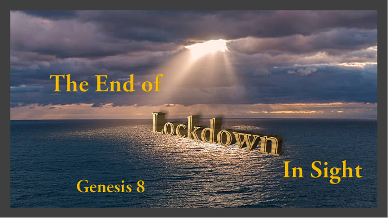 The End of Lockdown in Sight